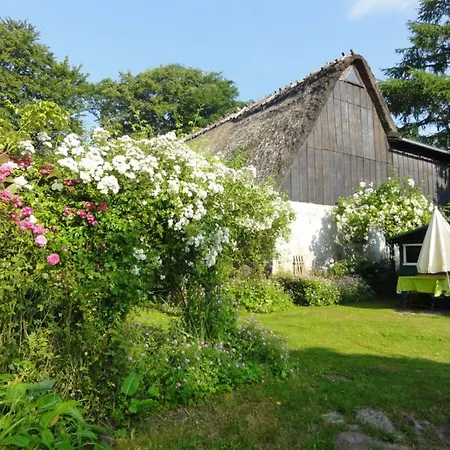 Romantic Thatched Roof House Apartment Schnarup-Thumby